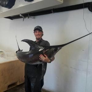 Meet your Posher, Cameron